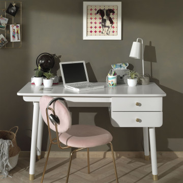 Bureau billy