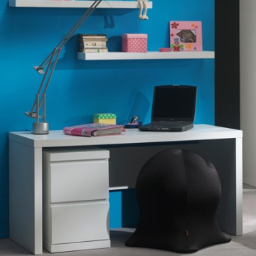 Lara bureau