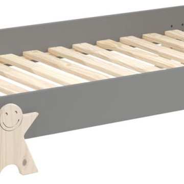 Modulo lit smiley