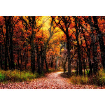 Tableau Arbre